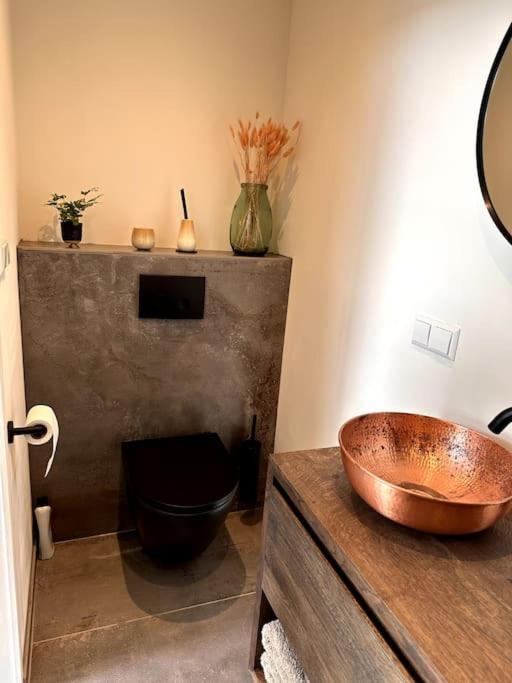 Tiny House Of Picasso Holiday home Warmenhuizen