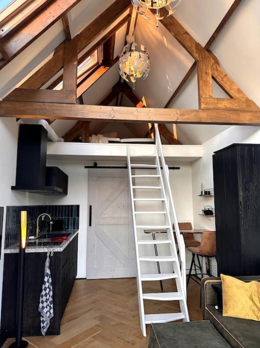 Holiday home Tiny House Of Picasso Warmenhuizen