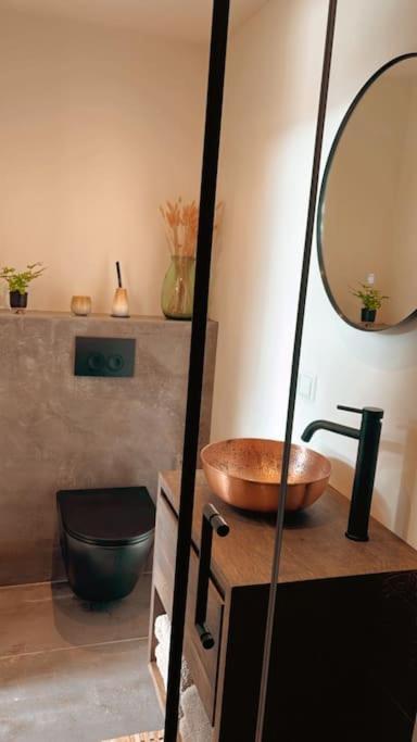 Tiny House Of Picasso Holiday home Warmenhuizen